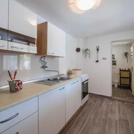 Feriehus In 39098 Drivenik